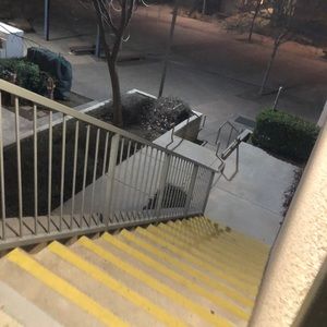 Meet your Posher, Rose